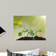 Watering Can Watering Young Wall Decal