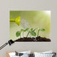 Watering Can Watering Young Wall Decal