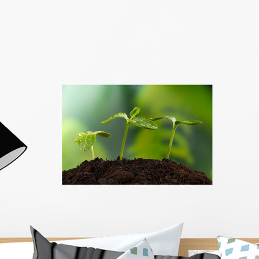 Young Plants Earth Concept Wall Decal