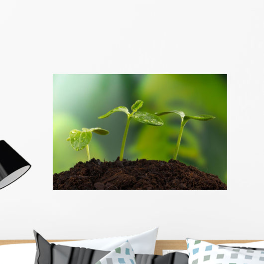 Young Plants Earth Concept Wall Decal