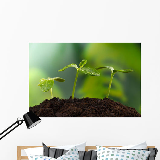 Young Plants Earth Concept Wall Decal
