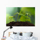Young Plants Earth Concept Wall Decal