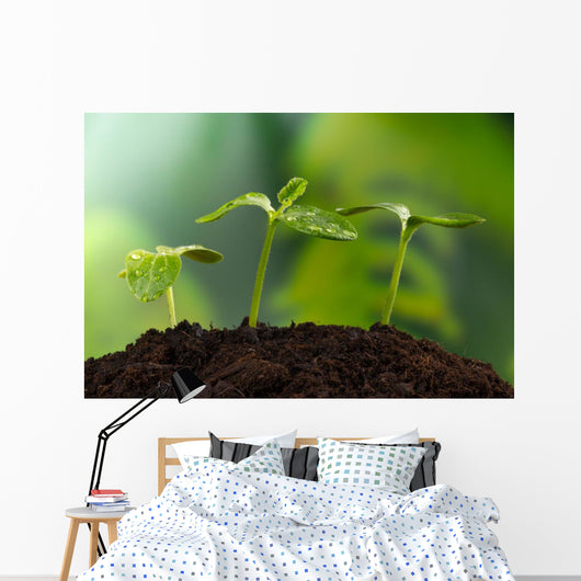 Young Plants Earth Concept Wall Decal