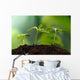 Young Plants Earth Concept Wall Decal