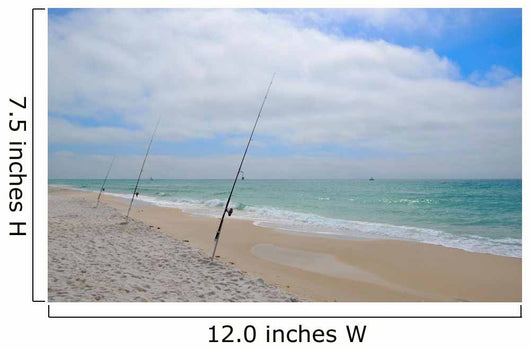 Fishing Gulf Mexico White Wall Decal