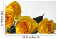 Yellow Roses Wall Decal