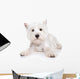 West Highland White Terrier Wall Decal