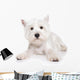 West Highland White Terrier Wall Decal