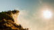 Sunrise with Peak Mountain Wall Decal