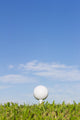 Golf Ball Tee with Wall Decal