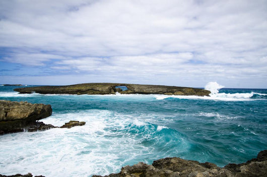 Laie Point North Side Wall Decal
