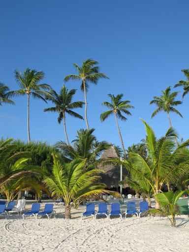 Beach Punta Cana Wall Decal