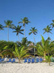 Beach Punta Cana Wall Decal