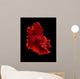 Red Siamese Fighting Fish Wall Decal