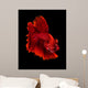 Red Siamese Fighting Fish Wall Decal