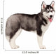 Siberian Husky Puppy White Wall Decal Design 11