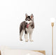 Siberian Husky Puppy White Wall Decal Design 10