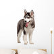 Siberian Husky Puppy White Wall Decal Design 10