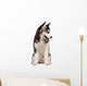 Siberian Husky Puppy White Wall Decal Design 9
