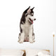 Siberian Husky Puppy White Wall Decal Design 9