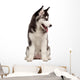 Siberian Husky Puppy White Wall Decal Design 9