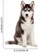Siberian Husky Puppy White Wall Decal Design 8