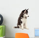 Siberian Husky Puppy White Wall Decal Design 7