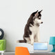 Siberian Husky Puppy White Wall Decal Design 7
