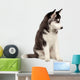 Siberian Husky Puppy White Wall Decal Design 7