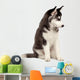 Siberian Husky Puppy White Wall Decal Design 7