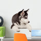 Siberian Husky Puppy White Wall Decal Design 5