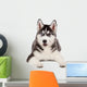 Siberian Husky Puppy White Wall Decal Design 4