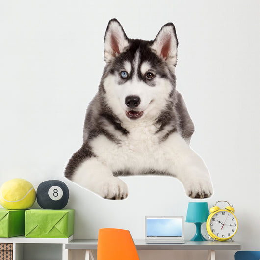 Siberian Husky Puppy White Wall Decal Design 4