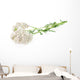 Yarrow Herb White Wall Decal