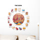 Skin Anatomy round Shape Wall Decal