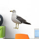 Wall Decal