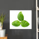 Basil Wall Decal