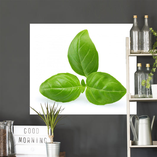 Basil Wall Decal