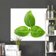 Basil Wall Decal