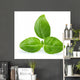 Basil Wall Decal