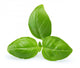 Basil Wall Decal