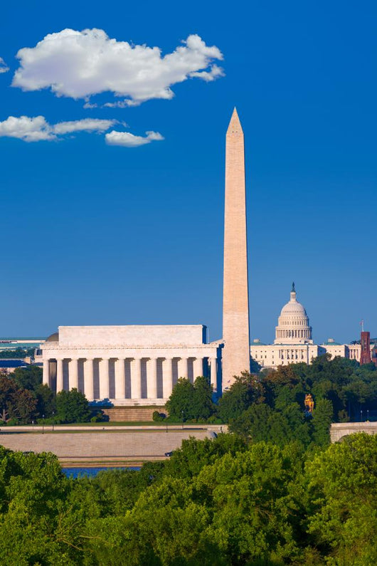 Washington Monument Capitol and Wall Decal Design 1