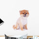 Pomeranian Dog Brown Short Wall Decal Design 3