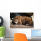 Orso Bruno Wall Decal