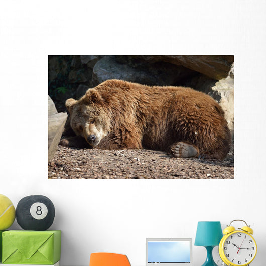 Orso Bruno Wall Decal