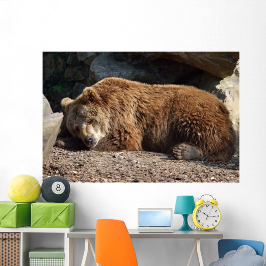 Orso Bruno Wall Decal