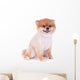 Pomeranian Dog Brown Short Wall Decal Design 2