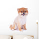 Pomeranian Dog Brown Short Wall Decal Design 2