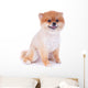 Pomeranian Dog Brown Short Wall Decal Design 2