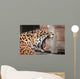 Roaring Jaguar Portrait Wild Wall Decal
